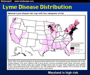 lyme-disease-map-maryland-high-risk